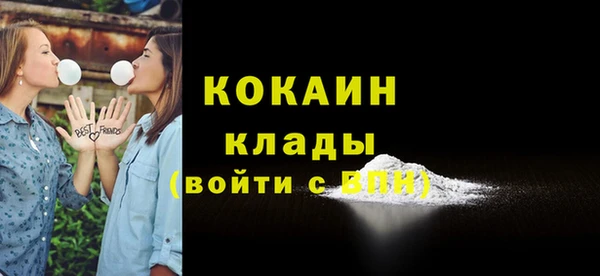 стафф Бородино