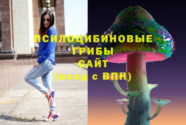 соль ск Бугульма