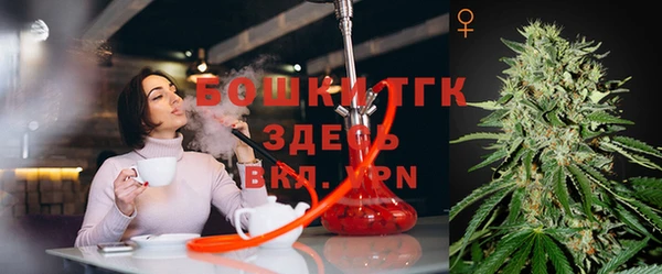 стафф Бородино