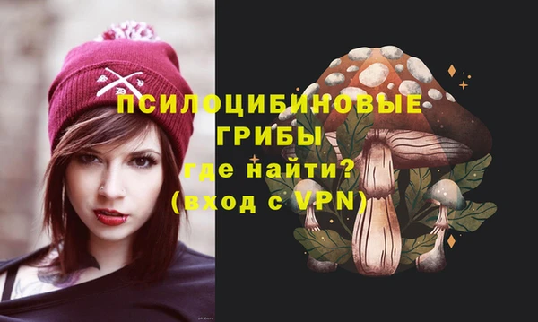 соль ск Бугульма