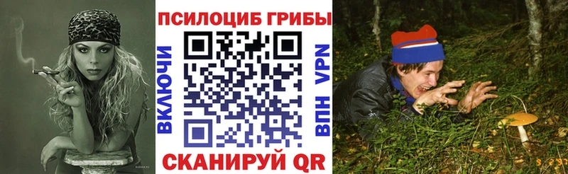 Купить где  Агрыз  Галлюциногенные грибы MAGIC MUSHROOMS 